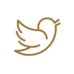 Vector Smart Object-3